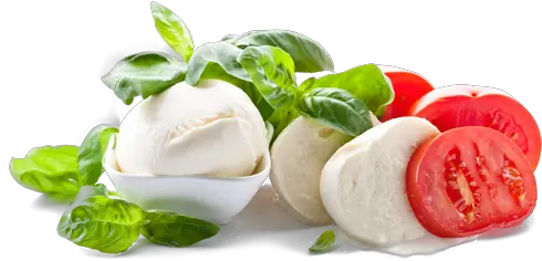 Mozzarella Cheese Mozzarelle Png Cheese Transparent