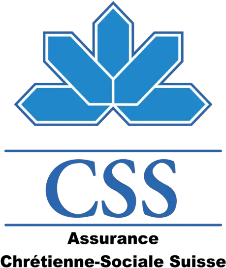 Css Logo Png Transparent Svg Vector Language Css Logo Png