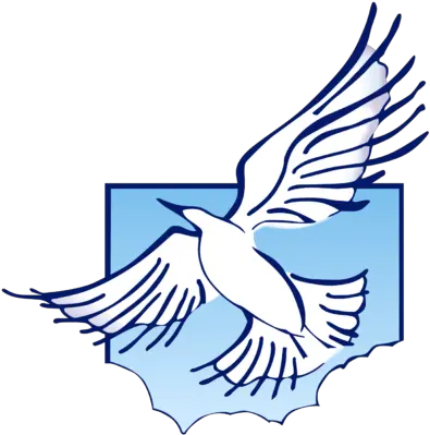 Png Holy Spirit Transparent Spiritpng Images Pluspng Free Dove Transparent