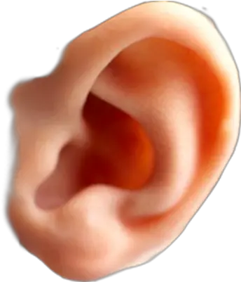 Ear Png Picture Ear Png Ear Png