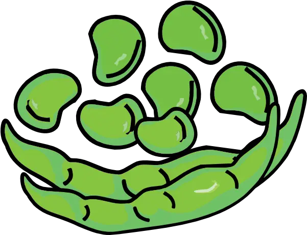 Bean Clipart Transparent Free For Download Beans Clipart Png Bean Transparent