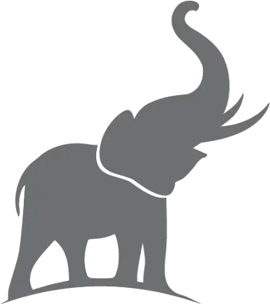 Disclaimer U2013 Airavat Capital Advisors Llp Elephant Hyde Png Elephant Tusk Icon