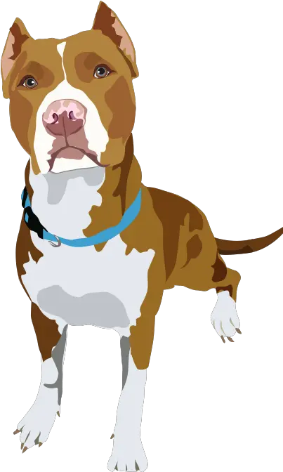 Pet Portraits Pitbull Art Dog Pitbull Illustration Png Pit Bull Png