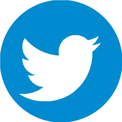 Registration Fundamental In Biometry Twitter Logo Png Shadow Isle Icon