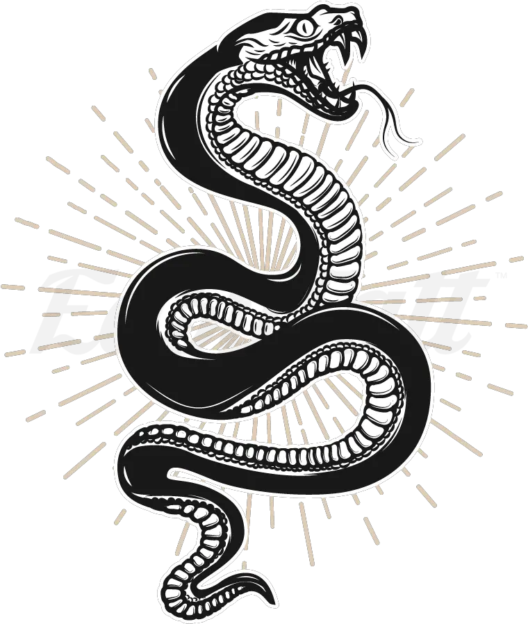 Traditional Snake Temporary Tattoo Png Transparent