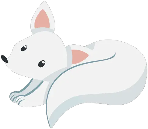 Cute White Fox Imagenes De Un Zorro Blanco Png Fox Transparent