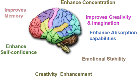 Human Brain Power Enhancement Mid Brain Activation Benefits Png Human Brain Png