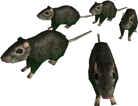 Horde Of Rats Rbxleaks Horde Of Rats Transparent Png Rats Png