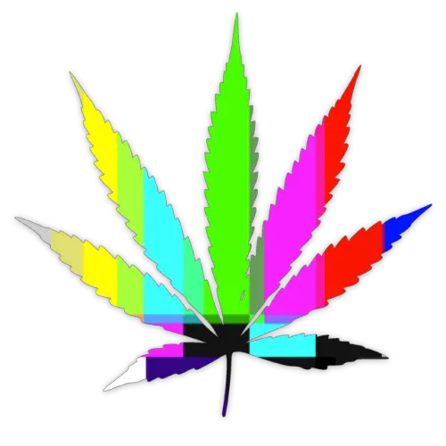 Weed Leaf Transparent Png Weed Png Weed Transparent Background