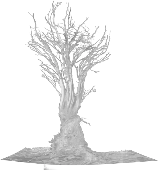 Dead Tree Root Tree Png Dead Tree Png