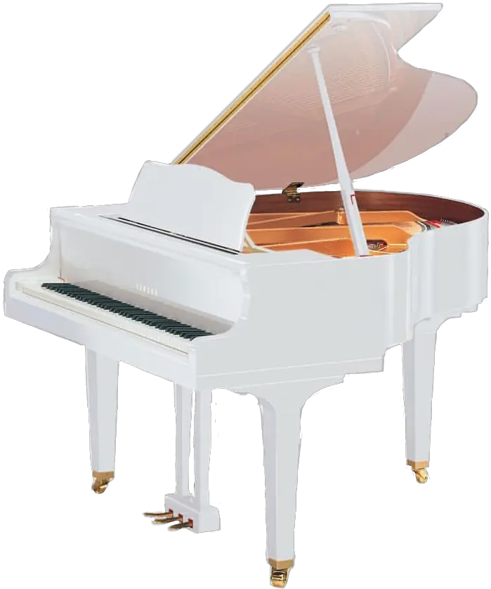 White Music Instrument Grandpiano Fre White Yamaha Baby Grand Piano Png Grand Piano Png