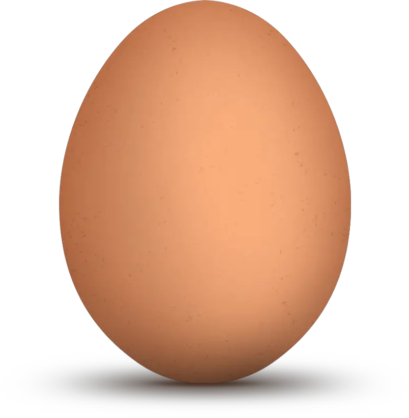 Extraordinary Networks Egg Crack Png Cracked Egg Png