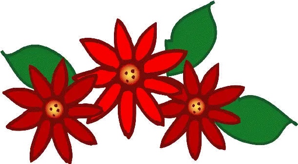 Fav Decideasactivities Floral Png Poinsettia Icon