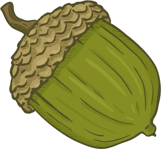 Nikiteev U2013 Canva Green Acorn Clipart Png Acorn Icon