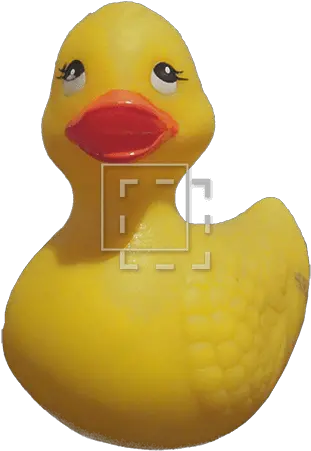 Rubber Ducky Soft Png Rubber Ducky Png