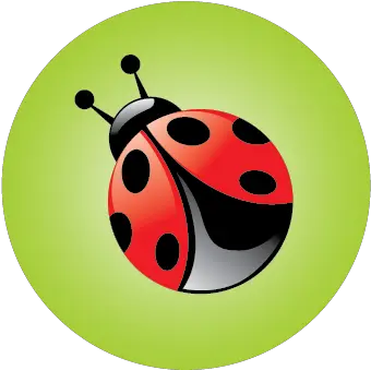 Printing Paper Stocks The Print Bug Dot Png Ladybug Icon Leaf