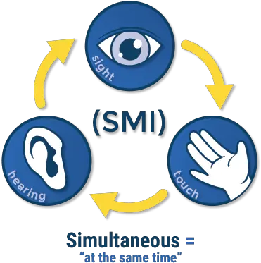 Multisensory Teaching For Reading And Multisensory Approach Png 5 Senses Icon