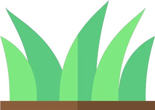 Fertilizer Ordinance Icone De Grama Png Grass Icon