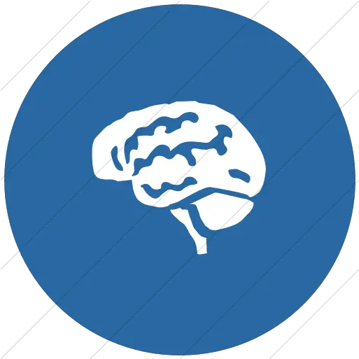 Classica Brain Icon Brain Icon Png Brain Icon