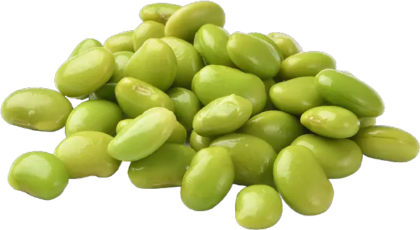 Edamame Png Transparent Edamamepng Images Pluspng Edamame Png Bean Png