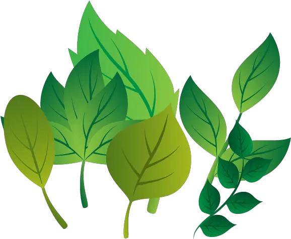 Leaf Vector Png Hojas De Ramas Png Leaf Vector Png