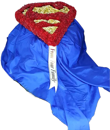 Qg Floral Shop U0027supermanu0027s Capeu0027 Png Superman Cape