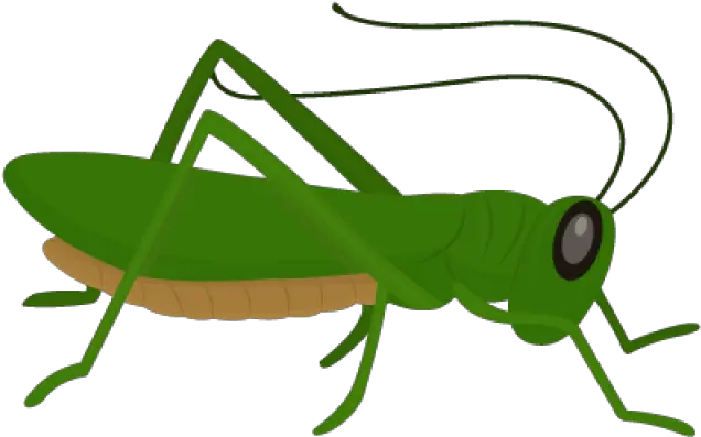 Grasshopper Clipart Grillo Grasshopper Clipart Png Clipart Grasshopper Grasshopper Png