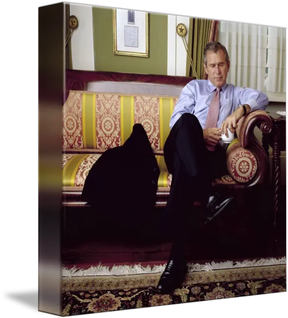 George W Bush By Pam Francis Sitting Png George W Bush Png