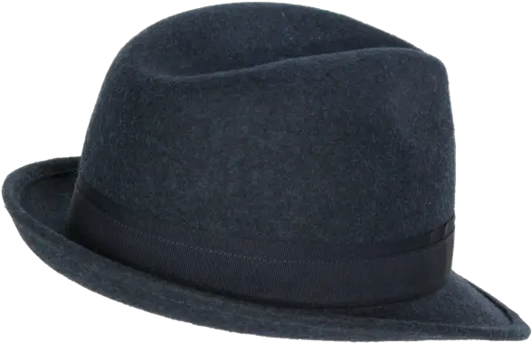 Fedora Transparent Png Image Transparent Background Fedora Png Fedora Transparent