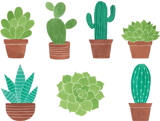 Potted Cactus Png Transparent Files Transparent Cactus Clip Art Cactus Clipart Png