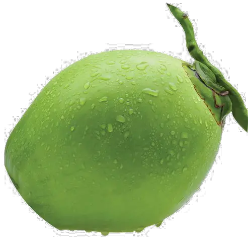 Coconut Png Photo Image Transparent Tender Coconut Png Coconut Png