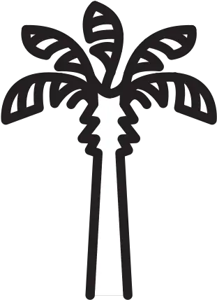 Palm Tree Free Icon Of Selman Icons Fresh Png Palm Tree Icon