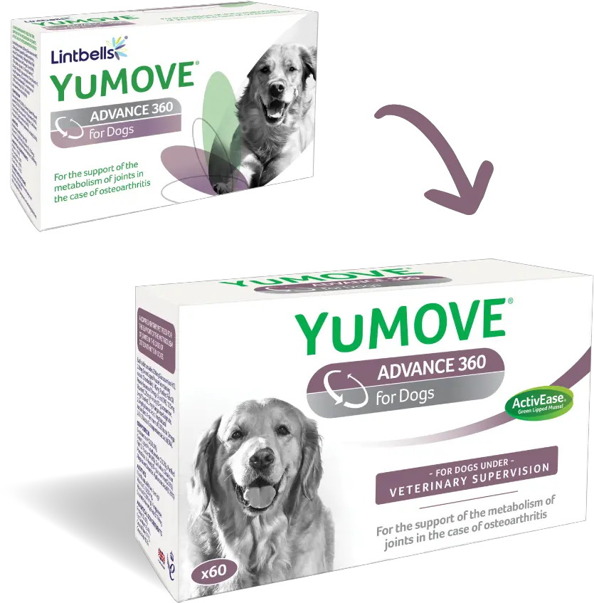 Yumove Advance 360 For Dogs Lintbells Veterinary Lintbells Yumove Advance 360 Png Dogs Transparent