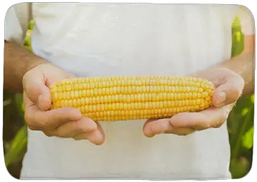 Farmer Holding Corn Maize Cob Bath Mat U2022 Pixers We Live To Change Corn On The Cob Png Corn On The Cob Png