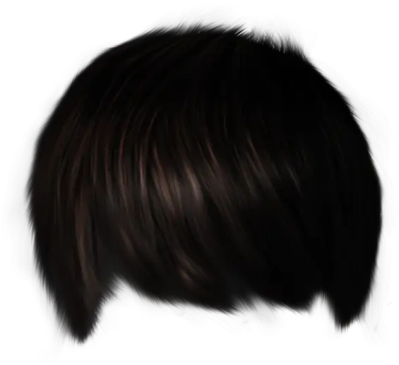 Hair Png Man 7 Image Bowl Cut Transparent Background Hair Png