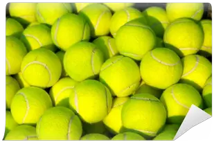 Pile Of Tennis Balls Wall Mural U2022 Pixers We Live To Change Tennis Balls Wallpaper Hd Png Tennis Ball Png