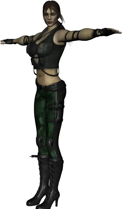 Download Hd Mortal Kombat Health Bar Png Transparent Woman Warrior Health Bar Png