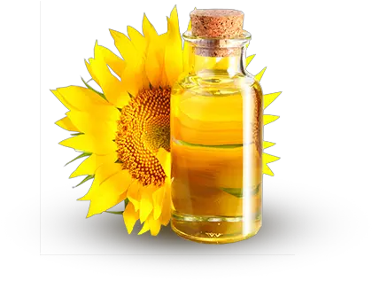 Download Free Png Sunflower Oil Image With Sunflower Oil Png Sunflower Transparent Background