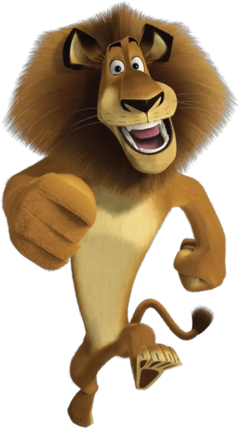 Download Hd Lion Madagascar Shrek Kung Fu Panda Madagascar Melman Gloria Alex Marty Png Shrek Head Png