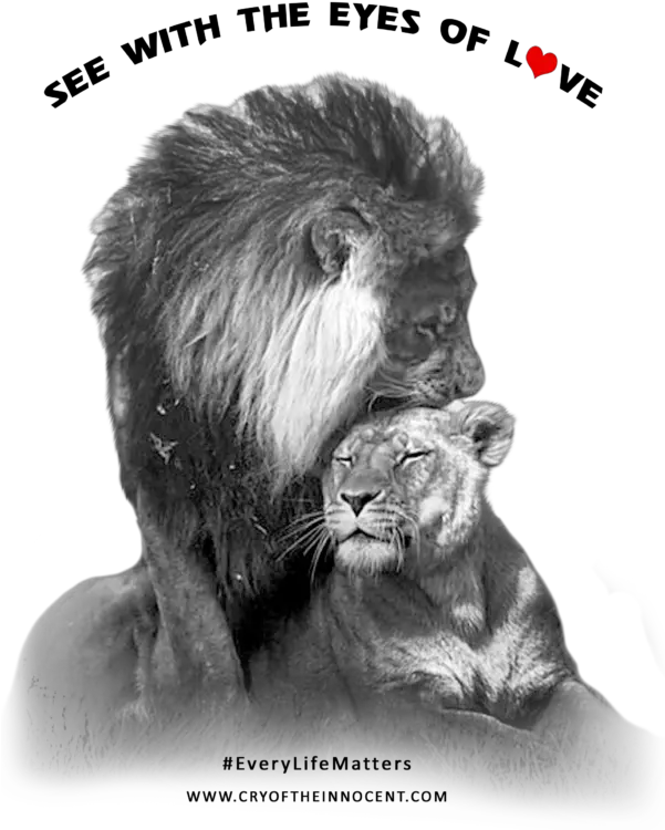 Crying Eyes Png The Spirit Of Love Is Universal As The Lionne Et Son Lion Crying Eyes Png