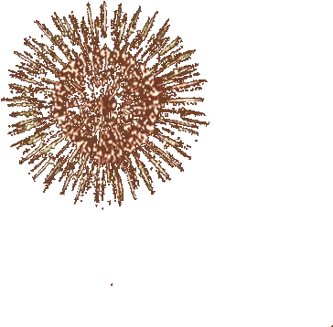 Fireworks Gif Transparent 14 Images Download Exploding Fireworks Gif Transparent Png Fireworks Transparent Background