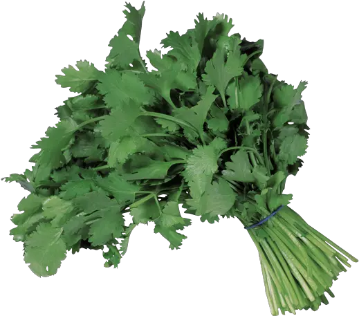 Cilantro Avina Produce Cilantro Transparent Png Cilantro Png