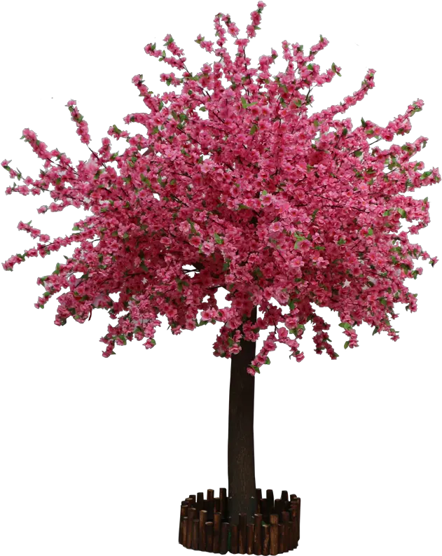 Simulation Peach Tree Plum Large Plant New Mexico Maple Png Cherry Blossom Tree Png