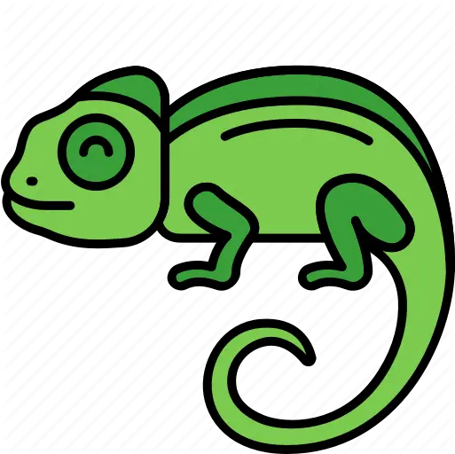 Animal Chameleon Lizard Reptile Icon Chameleon Icon Png Chameleon Png