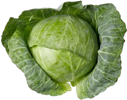 Cabbage Png Transparent Image Arts Green Cabbage Cabbage Png