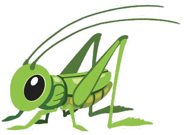 Grasshopper Png Transparent Background Grasshopper Cartoon Png Grasshopper Png