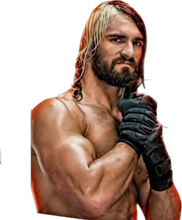 Download Seth Rollins Seth Rollins Layer Png Png Image Wwe Seth Rollins Body Seth Rollins Transparent