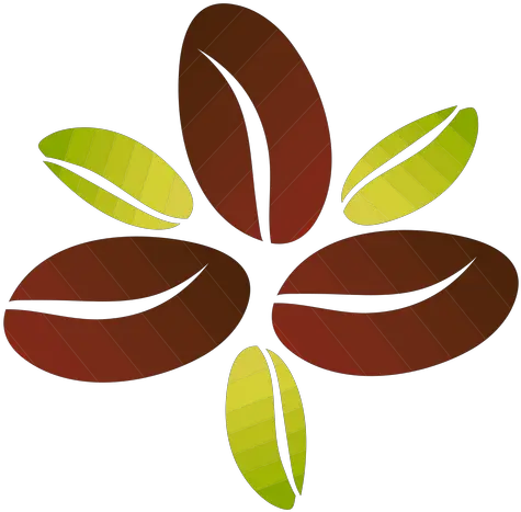 Coffee Beans Flower Transparent Png U0026 Svg Vector File Dibujo Granos De Cafe Png Coffee Beans Transparent