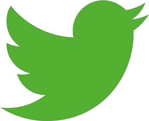 Vision 2020 No Wasted Lives Green Twitter Logo Png Wasted Png