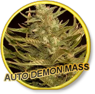 Auto Demon Mass Label Png Demon Transparent